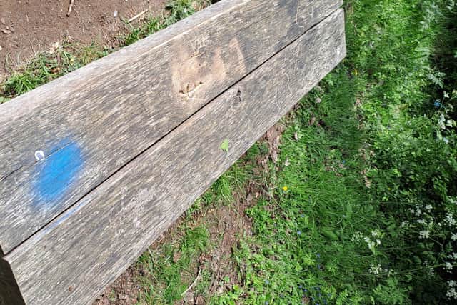 Vandals damaged badger sculptures, benches and trees