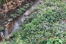 Residents in Leighton Buzzard have complained of sewage in local streams