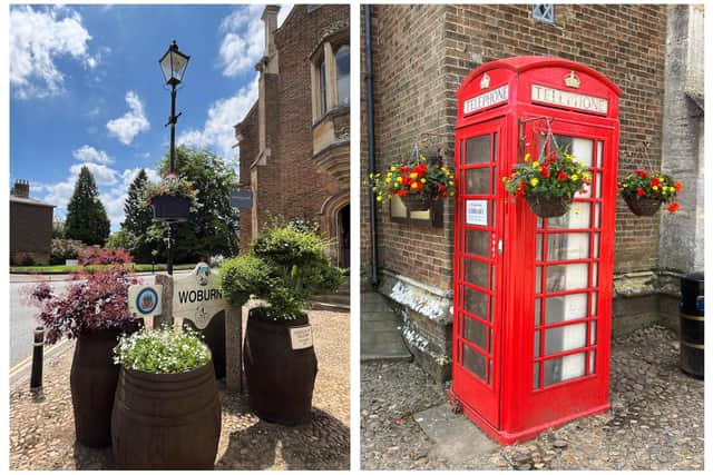 Lamppost containers at the Market Square, and right, telephone box baskets at the Market Square. Images: Rob Croft.