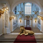Lion Kingdom by Steve Brabner