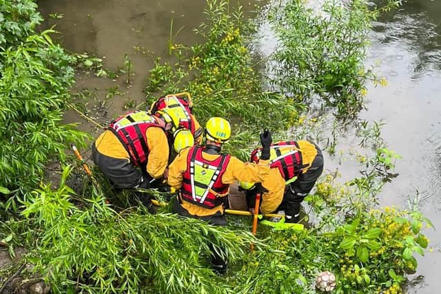 The rescue. Image: Bedfordshire Fire and Rescue Service.