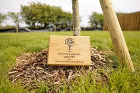 The trees have been planted as part of the Queen's Green Canopy project