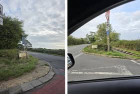 The foliage at the Shenley Hill Road and Mile Tree Road crossroads