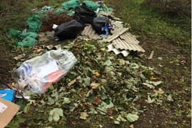 Denny Joe Bowers pleaded guilty to two counts of fly tipping