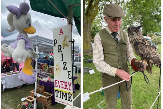 There were plenty of games to enjoy and visitors could even meet birds of prey