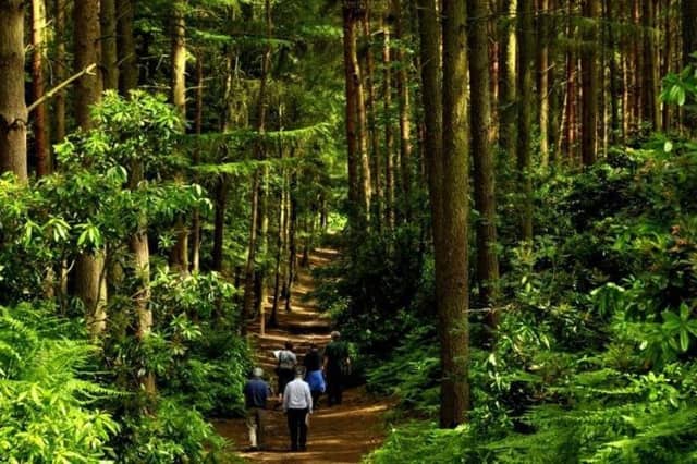 Rushmere Country Park