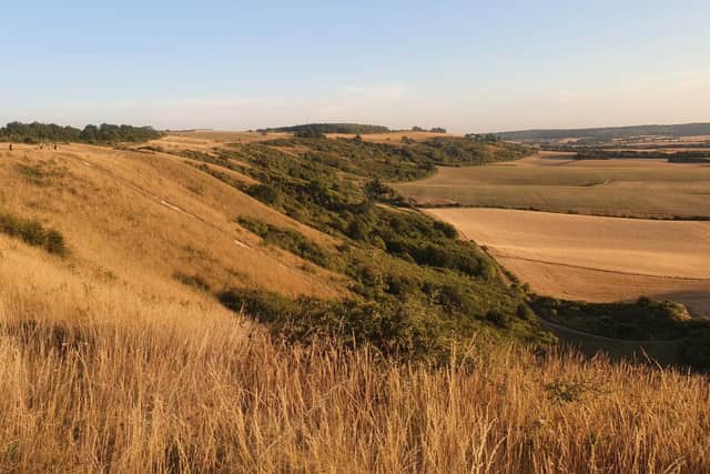 How the drought has affected Dunstable Downs. PIC: Lisa Manning