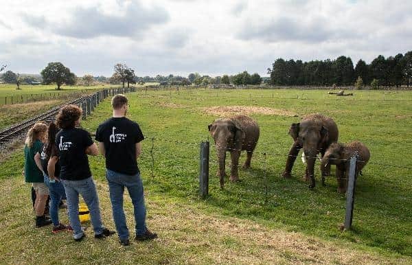 Get up close and personal with the elephants at Whipsnade when you sign up for this once-in--lifetime experience