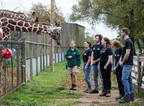 Become a Keeper for a Day at Whipsnade and you'll be helping their vital conservation work