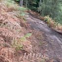 Pictured: Erosion of the trails at Rushmere Park
