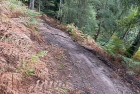 Pictured: Erosion of the trails at Rushmere Park