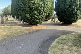 Vandyke Road Cemetery. Image: Iconic Media Group.