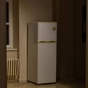 Residents are asked not to drop off fridges or freezers at recycling centres