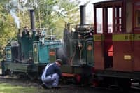 Taffy and Chaloner working together in 2025. Image: Mark Lewis.