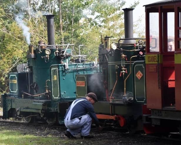 Taffy and Chaloner working together in 2025. Image: Mark Lewis.