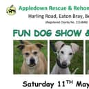 Appledown Fun Dog Show and Fayre