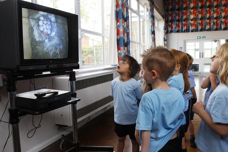 In May 2011 we captured pupils at Linslade Lower School watching the first egg hatch in their birdbox via a camera connected to the classroom TV.