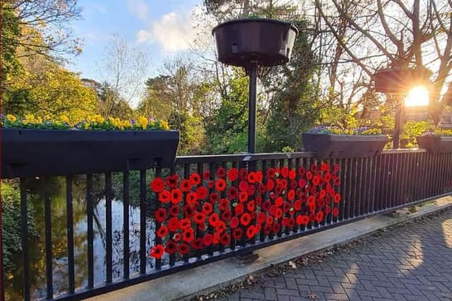 Beautiful Remembrance poppies. Image: Leighton-Linslade Town Council.