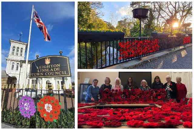 The White House; a knitted poppy display; and the Mayor with the poppy creators. Image: Leighton-Linslade Town Council.
