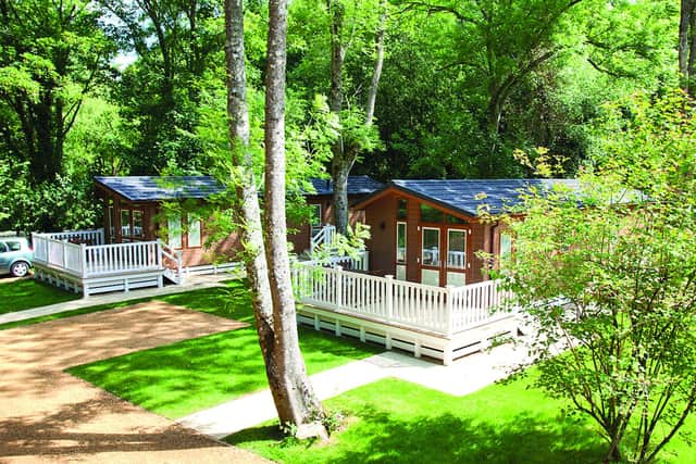 The lodges are in a delightful woodland setting