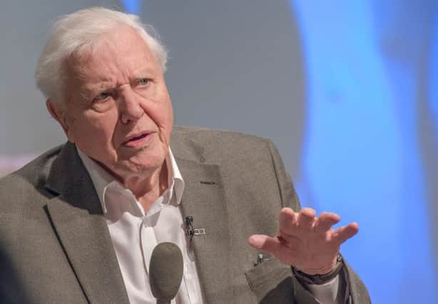 The nation’s sweetheart, Sir David Attenborough, has finally joined social media platform Instagram, gaining a multitude of followers within minutes (Photo: Richard Stonehouse/Getty Images)