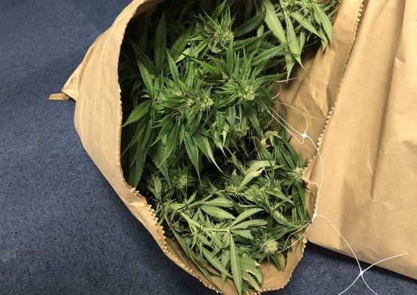 Police uncovered a cannabis factory
