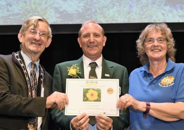 Leighton-Linslade won Gold in the Large Town category