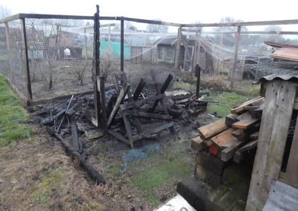 Four sheds were burnt down at Totternhoe allotments