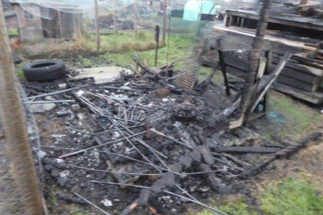 Four sheds were burnt down at Totternhoe allotments