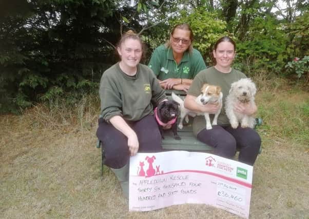 Appledown Rescue and Rehoming Kennels