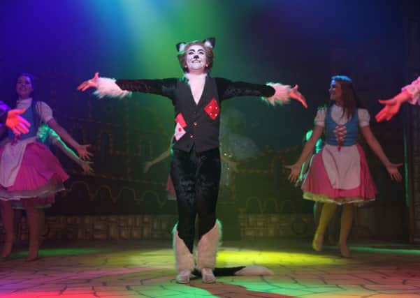 Dick Whittington was at the Grove Theatre last year
