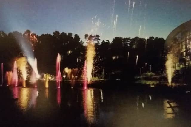 The spectacular light show at Woburn