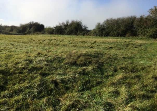 Grassland at the centre of the proposed development