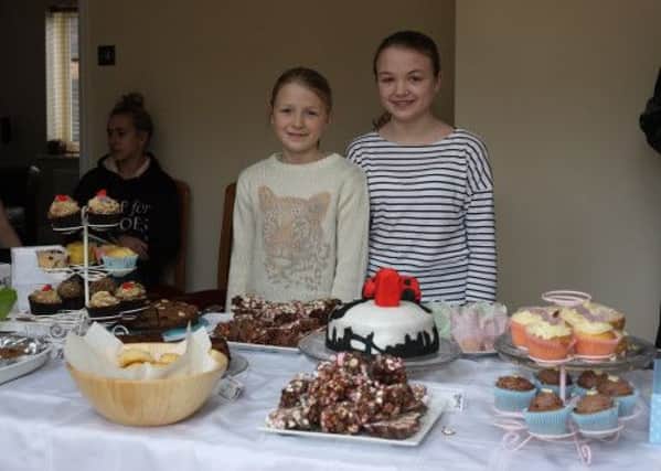 Leighton schoolgirl Olivia Shipley (left) and her sister Amelia with their Help for Heroes prize-winning cake.