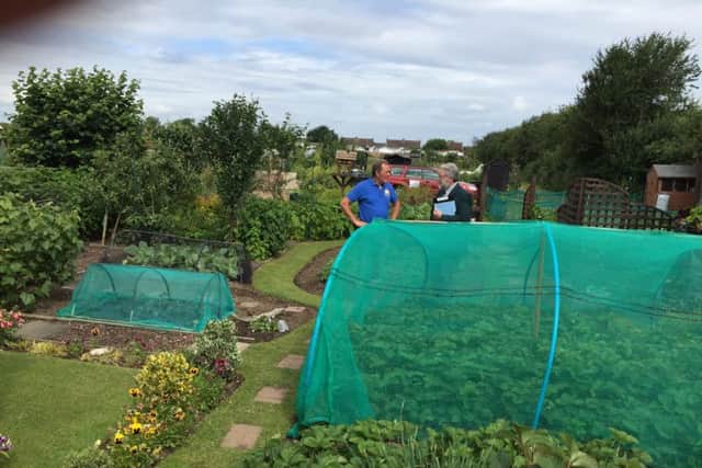 In Bloom Judges visit to Leighton-Linslade: Steve's allotment