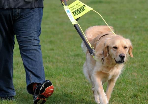 A guide dog was attacked in Leighton (stock image).