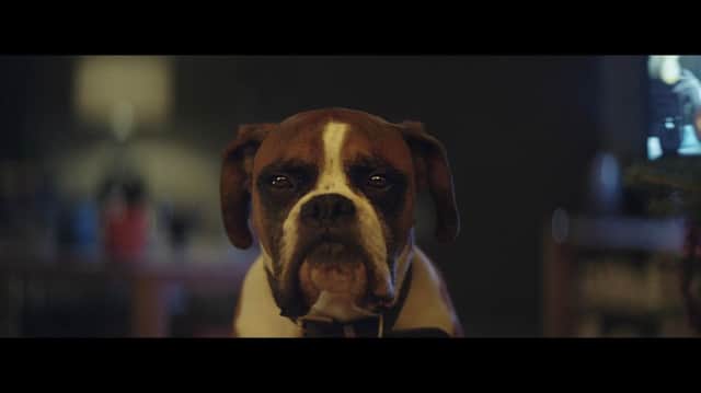 John Lewis Christmas advert features Biff from Bedfordshire who was trained in Stewkley