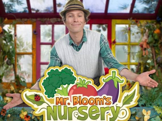 Mr Bloom