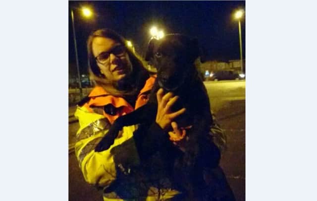 Hugo is rescued from a drain beside the M1 J10