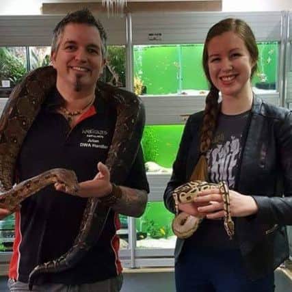 Julian is holding a Colombian Boa Constrictor (Boa Constrictor Imperator) , while reporter Jo is holding a Royal Python (Python Regius).