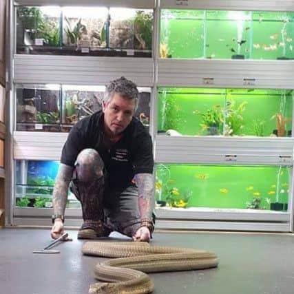 Julian and a King Cobra (Ophiophagus Hannah).  This one is male and is currently around the 9' mark. It was bred at Madrid Zoo in 2013 and they originate from Indonesia/Malaysia and parts of India and China.
