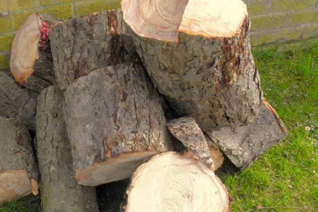 Tree stumps in Danes Way