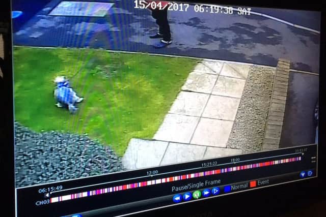 CCTV of a dog fouling on a resident's front lawn