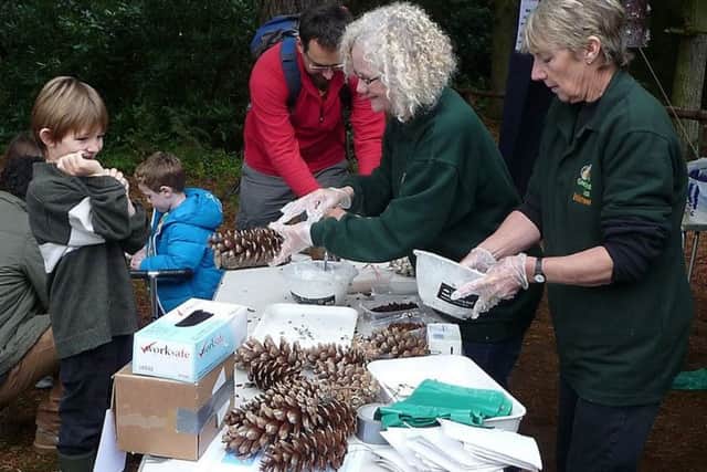 A Rushmere Feed the Birds event