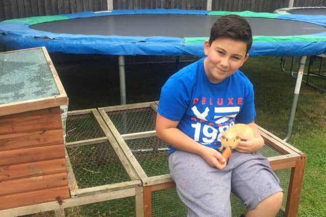 Damien can look after your guinea-pigs while you go on holiday. He is experienced with pets, as he has guinea-pigs of his own.